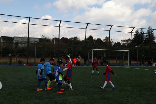 王哲林谈世界杯:上场就全力以赴 这是我的工作